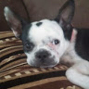 Meet your Posher, Holly